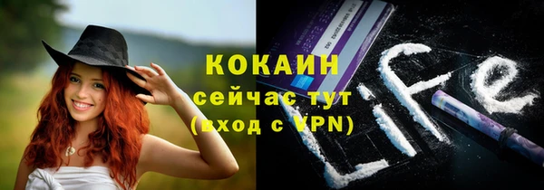 СК Алзамай