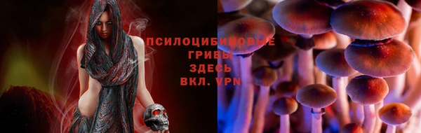 мефедрон Алексеевка