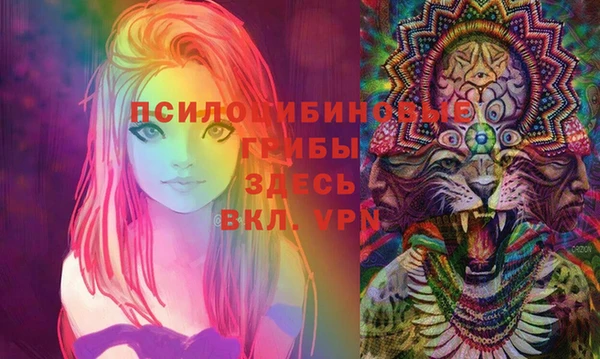 СК Алзамай
